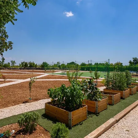 Luxury Meden Dol With Heated Pool, Hot-tub, 2 Saunas * Skradin